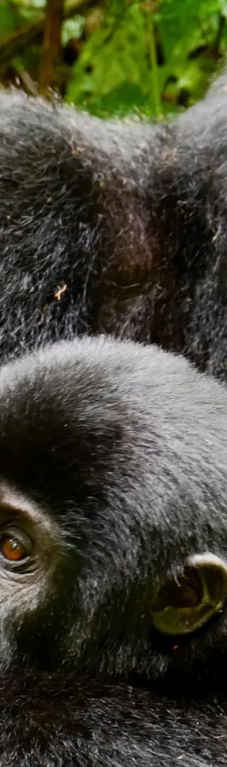 Mein «Once in-a-Lifetime»-Erlebnis!